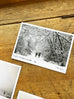Ian Beesley Christmas Cards - pack of 3 cards, exclusive to Salts