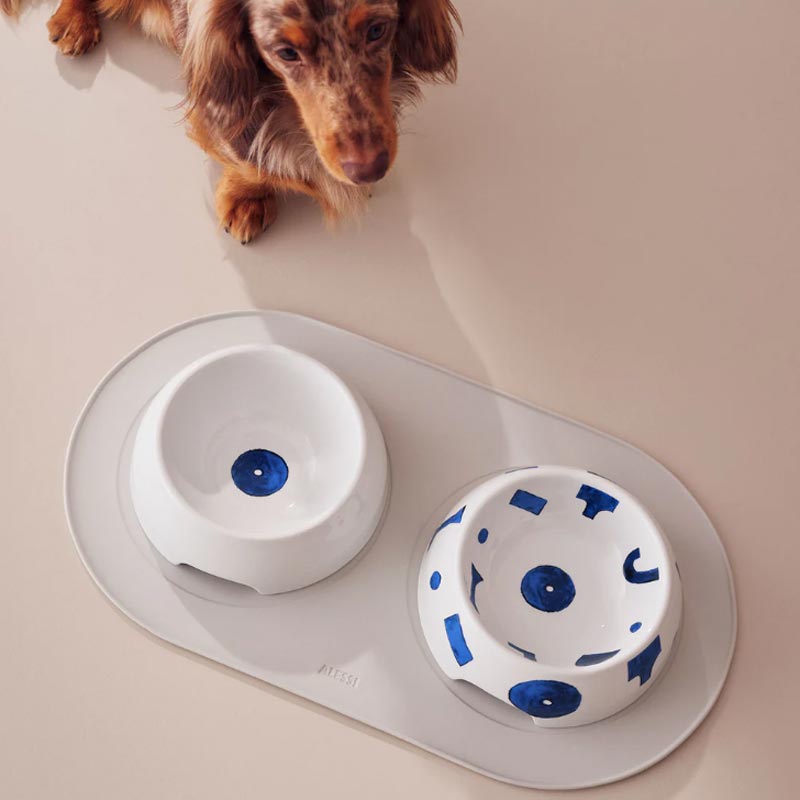 Itsumo Pet Dog Water Bowl - Yunoki Ware - des. Naoto Fukasawa for Alessi