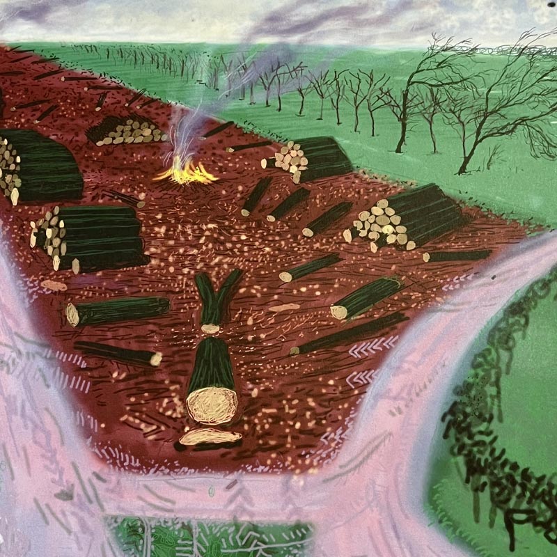 Less Trees Near Warter Poster by David Hockney