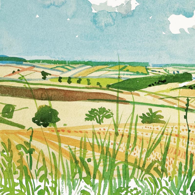 Looking Towards Huggate (Midsummer: East Yorkshire) Poster by David Hockney