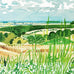 Looking Towards Huggate (Midsummer: East Yorkshire) Poster by David Hockney