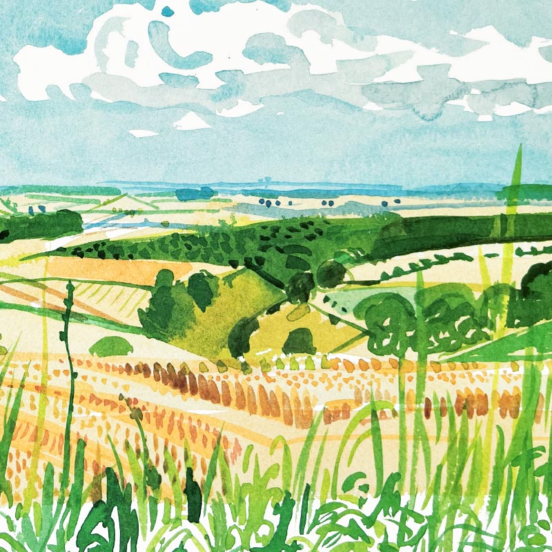 Looking Towards Huggate (Midsummer: East Yorkshire) Poster by David Hockney