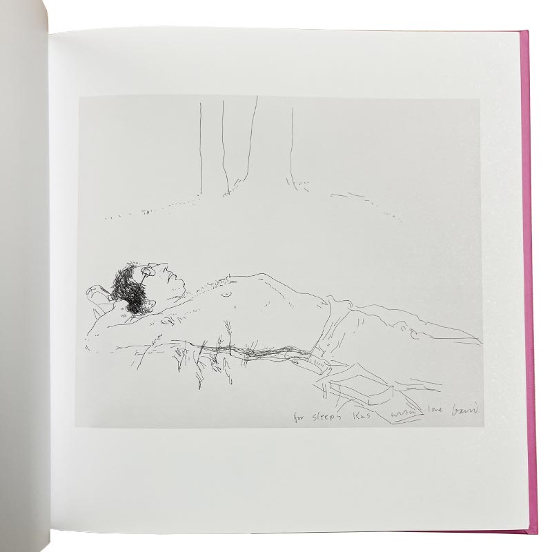 Love Life: David Hockney Drawings 1963-1977