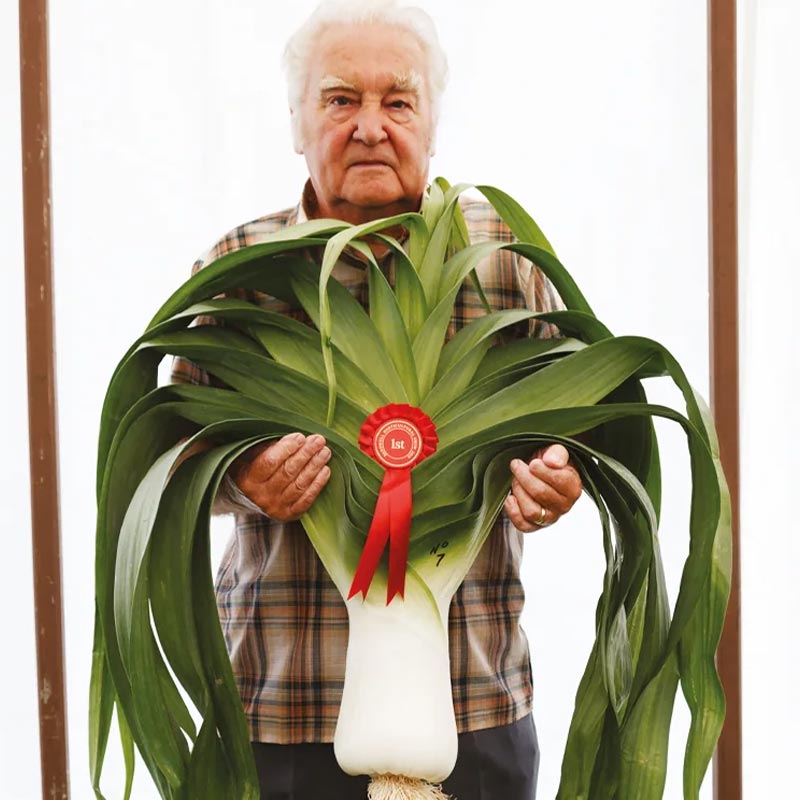 West Bromwich poster by Martin Parr