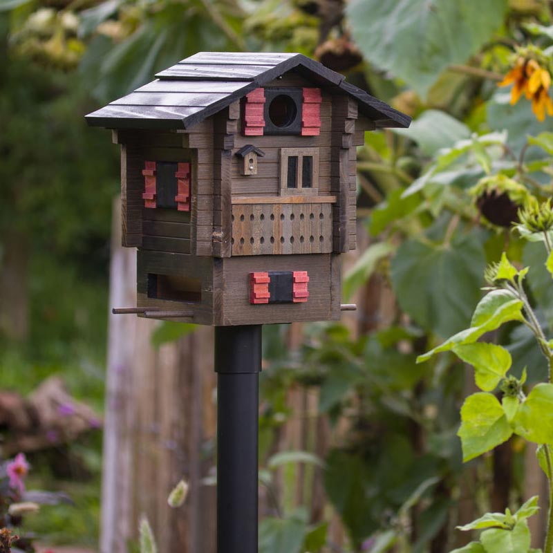 Birdhouse / Bird Feeder Support Pole by Wildlife Garden
