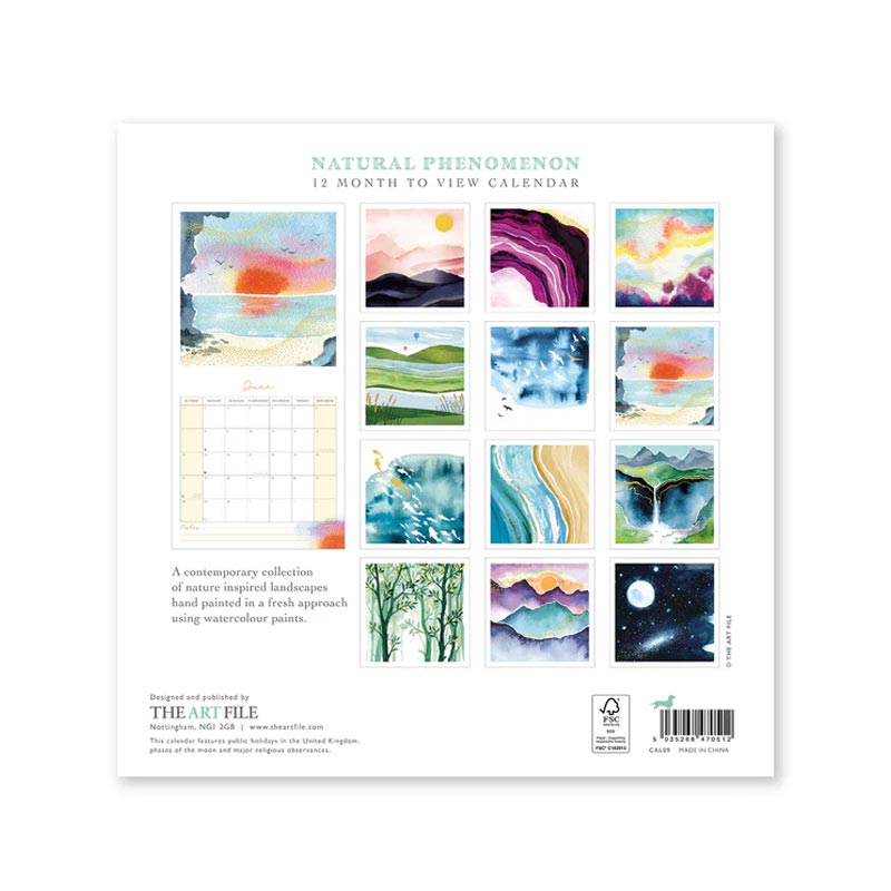 Natural Phenomenon 2026 Wall Calendar