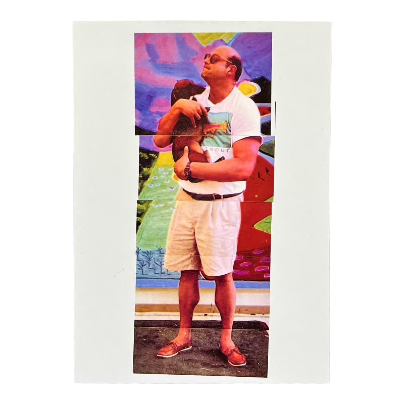 David Hockney New Electronic Snaps Postcard Collection (5 Cards)