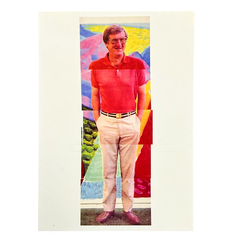 David Hockney New Electronic Snaps Postcard Collection (5 Cards)