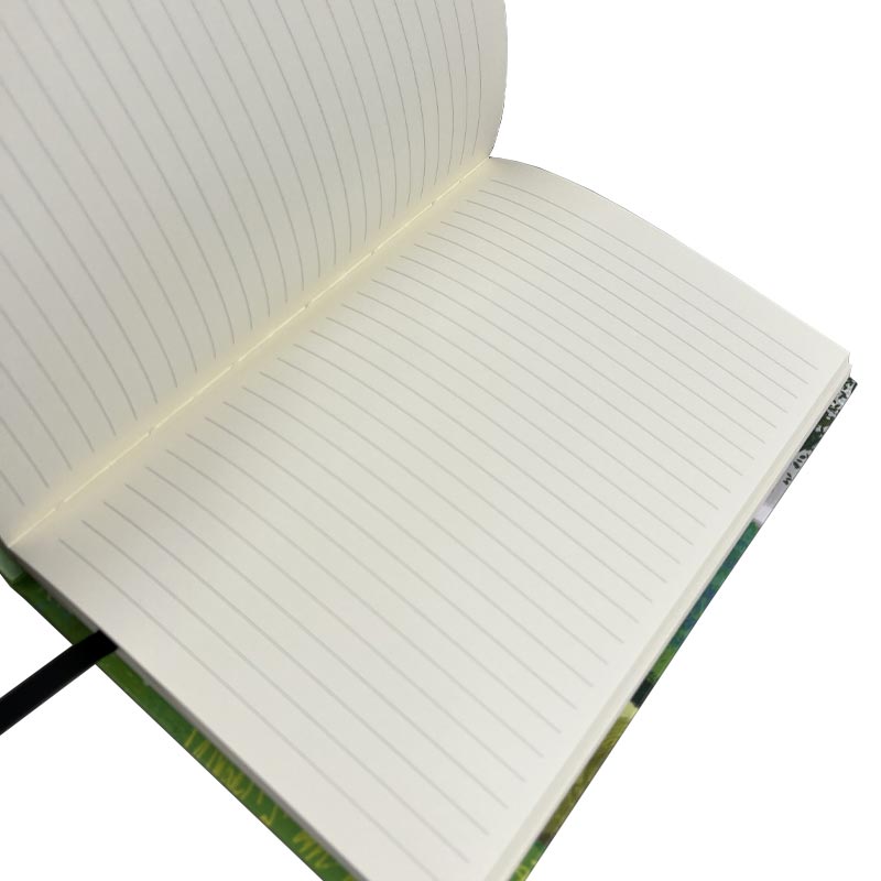 David Hockney: A Year in Normandie A5 hardback journal (House & Hay Bales)