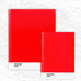Pantone Notebook - Set of 2 - Red 2035 - by Pantone