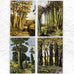 Simon Palmer Greetings Cards - Pack of 4 different designs (exclusive)