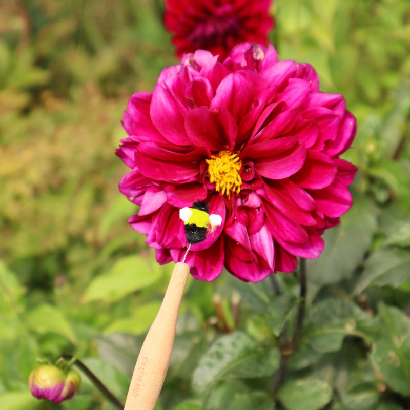 Pollination Wand by Kikkerland