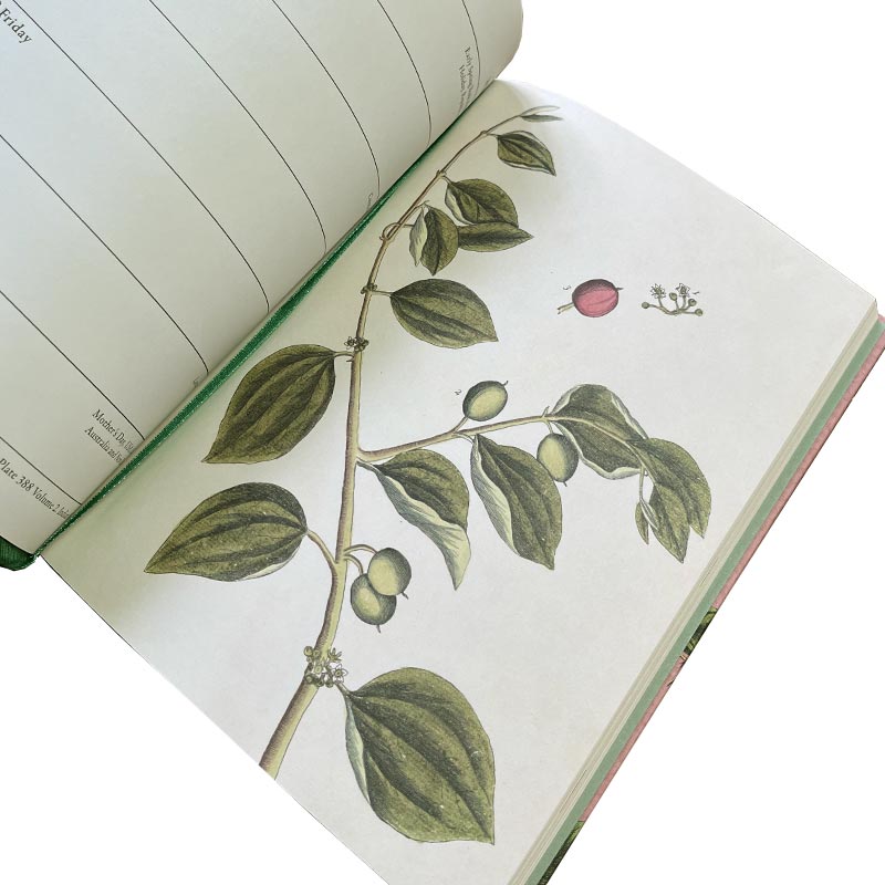 Royal Horticultural Society Diary 2026