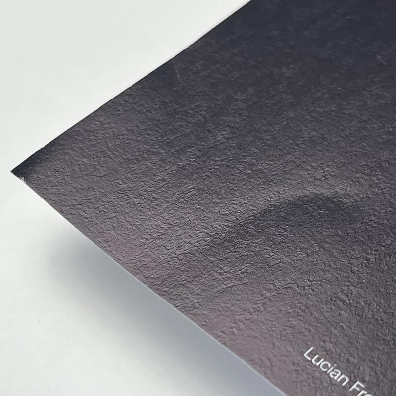 Reflection with Two Children Poster by Lucian Freud