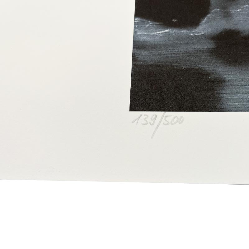 Birds / Vögel, 1964 print by Gerhard Richter - hand-numbered edition of 500.