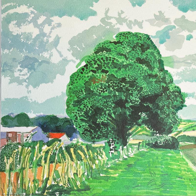 Road and Tree Near Wetwang ( from Midsummer: East Yorkshire) Poster by David Hockney