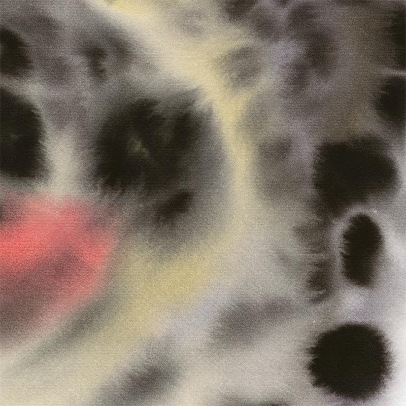 Snow Leopard poster by Rop Van Mierlo