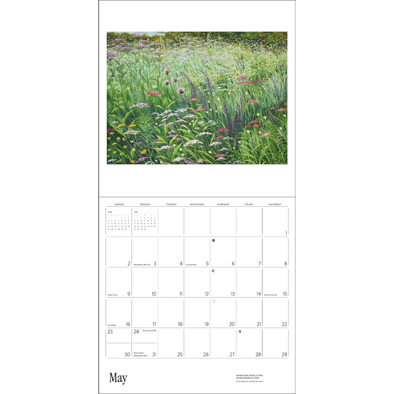 Rosalind Wise 2027 Calendar