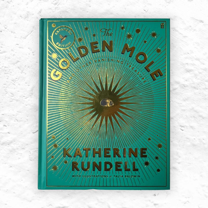 The Golden Mole: Signed Edition (Hardback) by Katherine Rundell