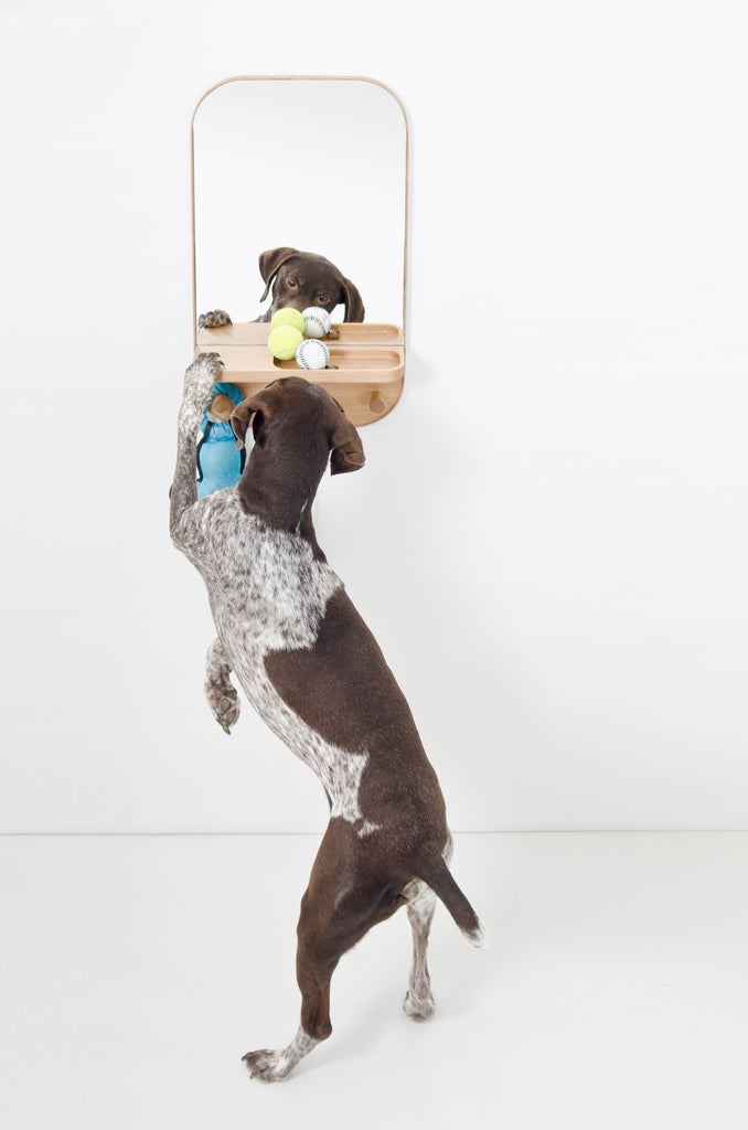 Silent Butler Storage Mirror des. Lincoln Rivers for Wireworks