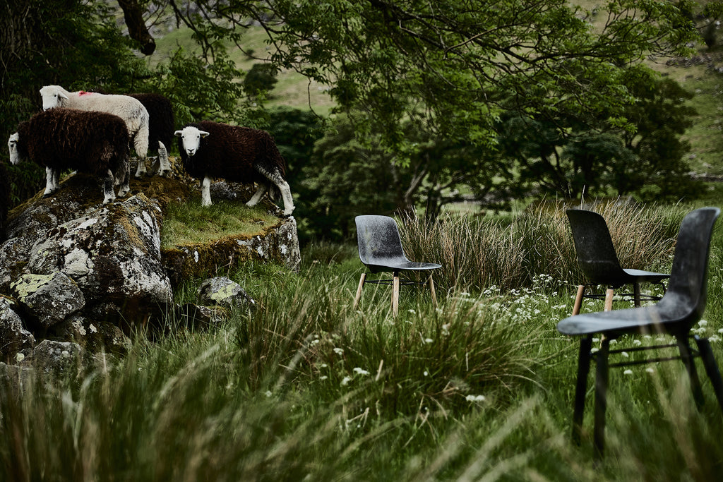Hembury Chair - Herdwick / Black Ash - by Solidwool