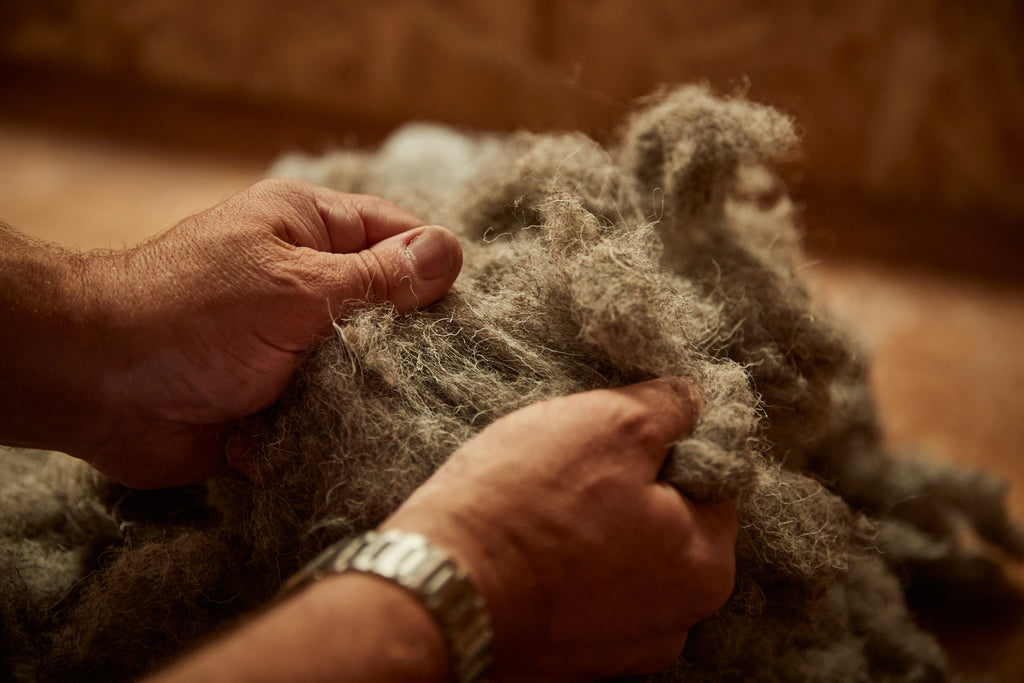 Hembury Chair - Herdwick / Black Ash - by Solidwool