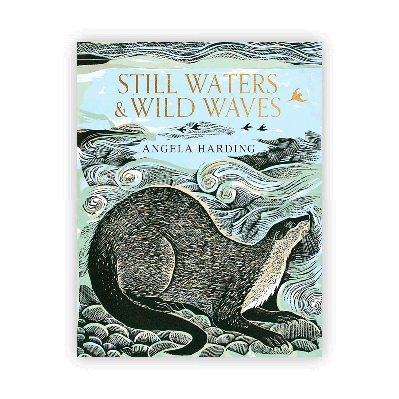 Still Waters & Wild Waves by Angela Harding (Signed Hardback)