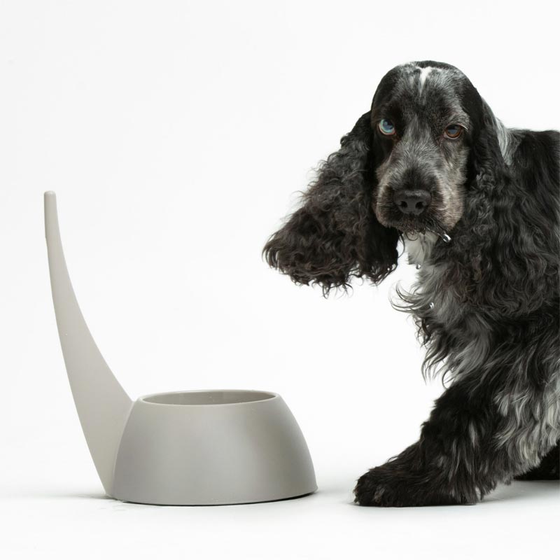 "Tail" Dog Bowl - Dove Grey - by United Pets
