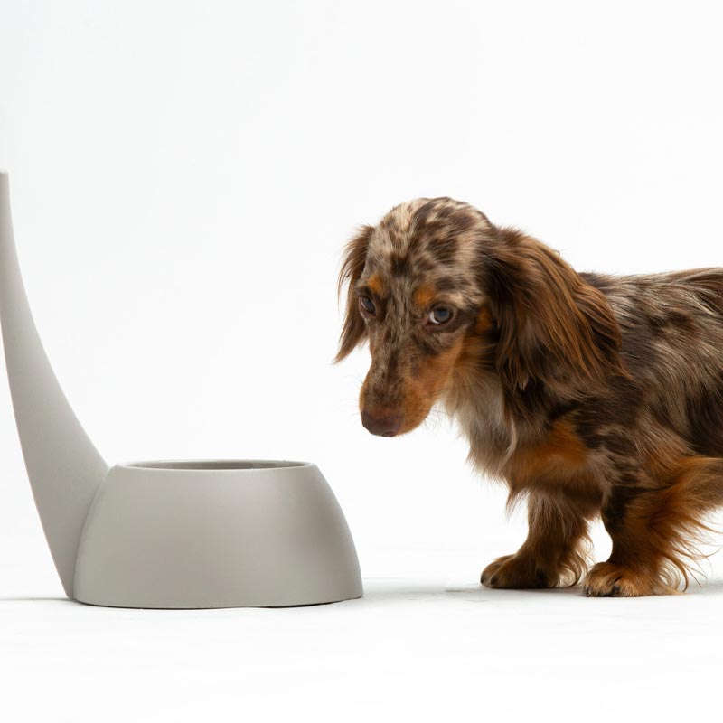"Tail" Dog Bowl - Dove Grey - by United Pets