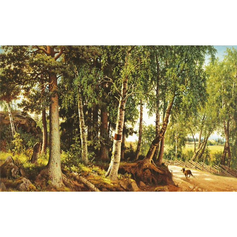 The Eyes & The Impossible by Dave Eggers (Hardback)