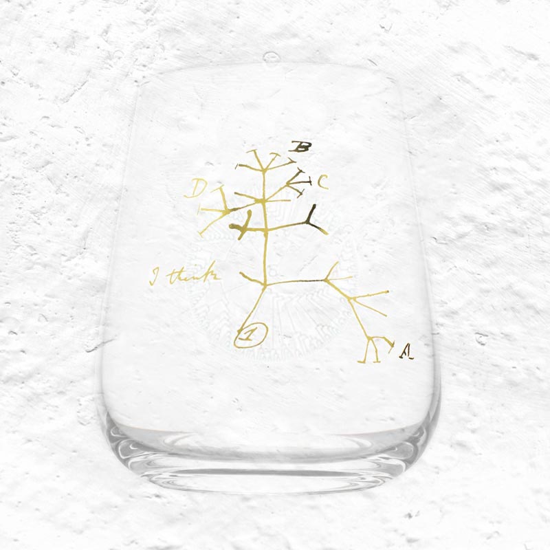 Tree of Life, Stemless Wine Glass by Cognitive Surplus
