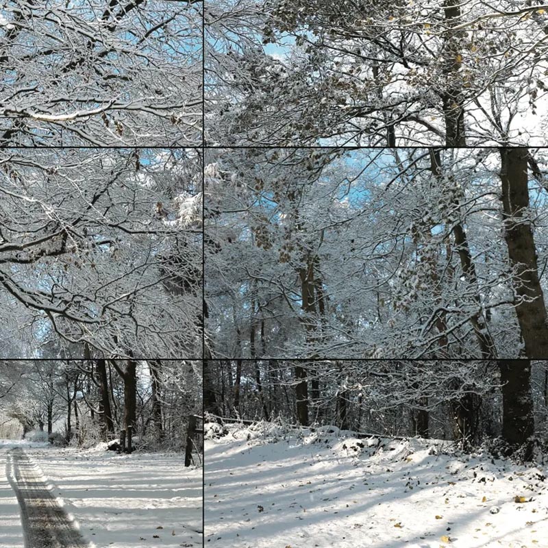 Woldgate Woods, Winter, 2010 poster by David Hockney