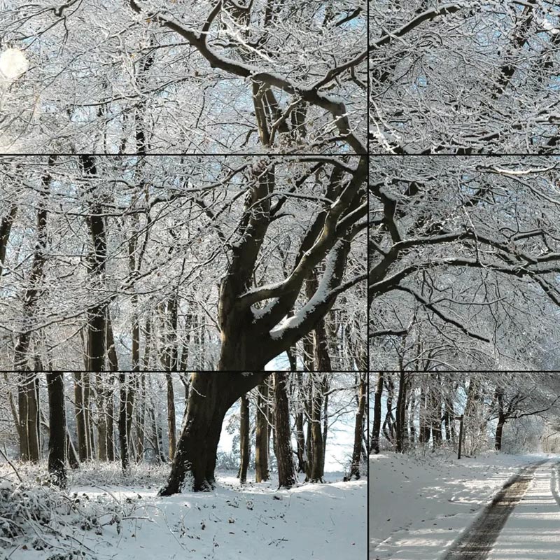 Woldgate Woods, Winter, 2010 poster by David Hockney