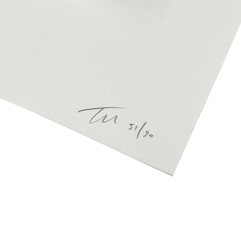 Yard Act poster by Tommy Davidson-Hawley