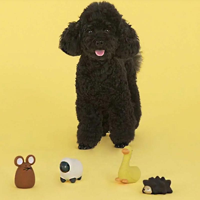 "Emma" Duck Dog Toy - Mini Size - by United Pets