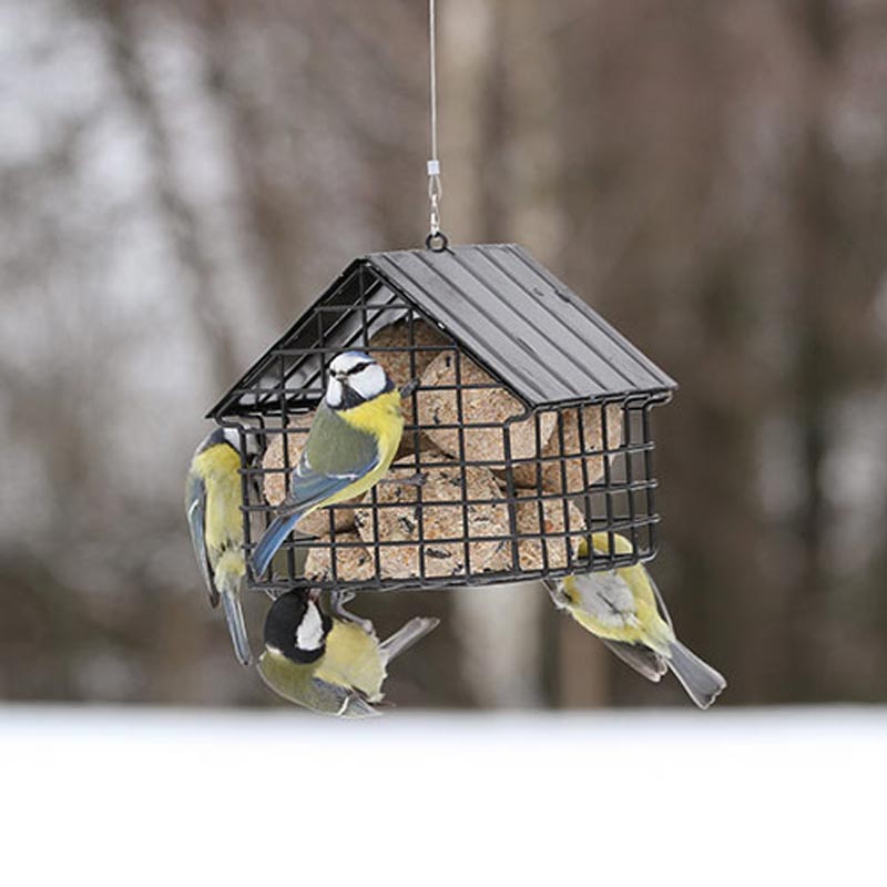 Cottage Suet Ball Bird Feeder - Black - By Wildlife Garden