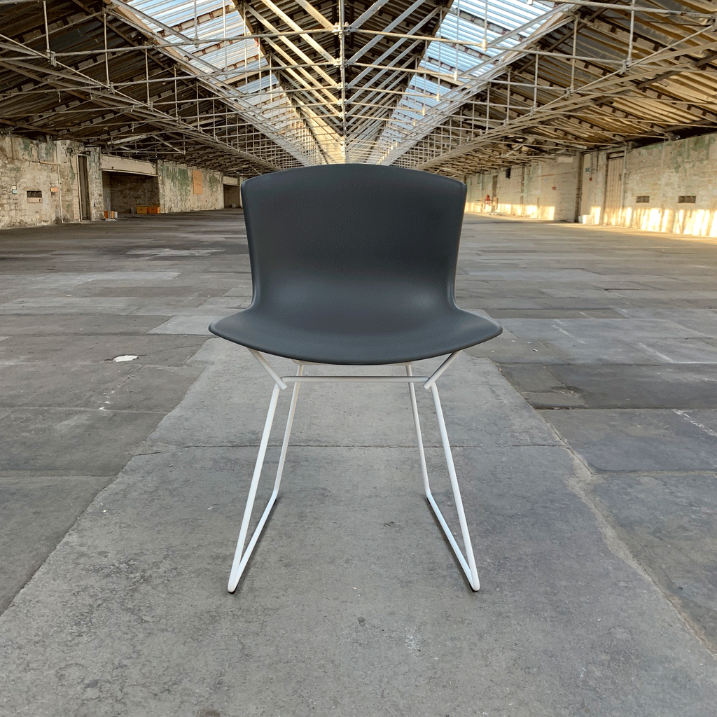 Bertoia Plastic Side Chair des. Harry Bertoia, 1956 - grey shell / white base (made by Knoll)