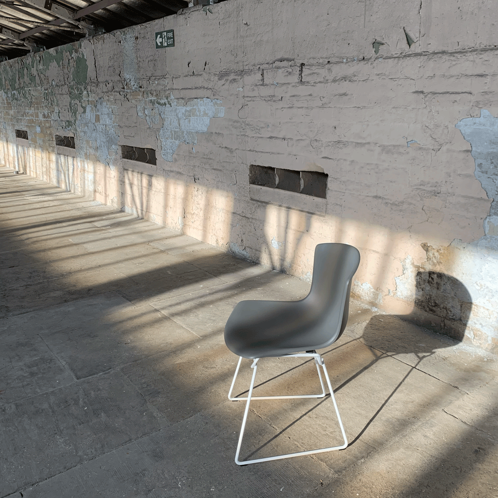 Bertoia Plastic Side Chair des. Harry Bertoia, 1956 - grey shell / white base (made by Knoll)