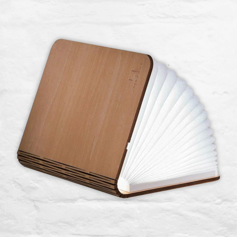 Smart Book Light Mini - Maple - des. Paul and Natalie Sun