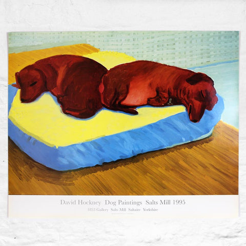 Dog 38 Poster by David Hockney