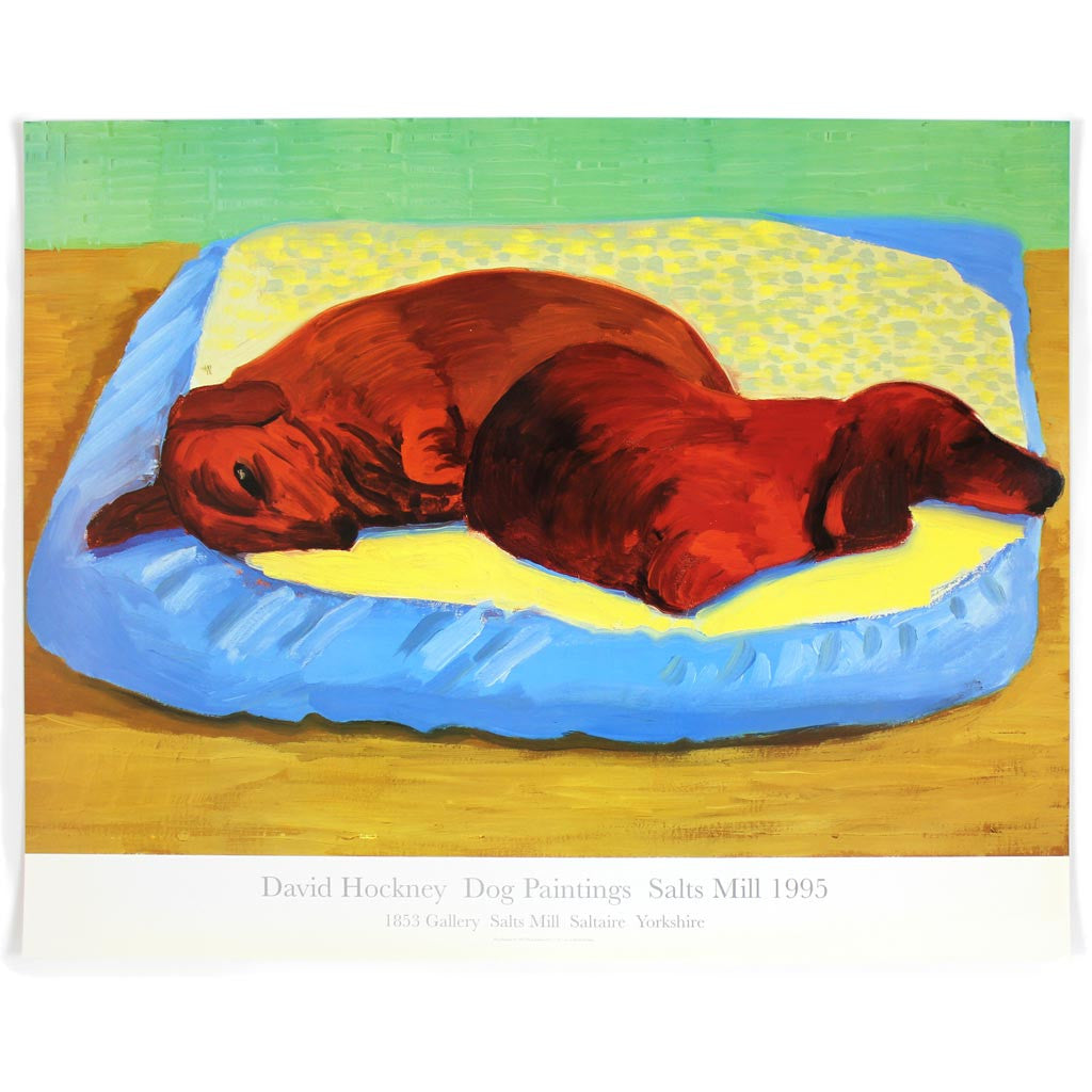 Dog 43 Poster by David Hockney