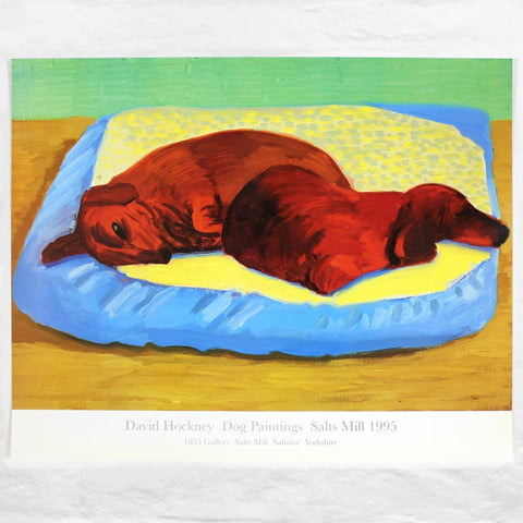 Dog 43 Poster by David Hockney