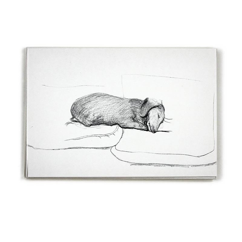 Dog Line Drawing Postcard Pack (x10) by David Hockney