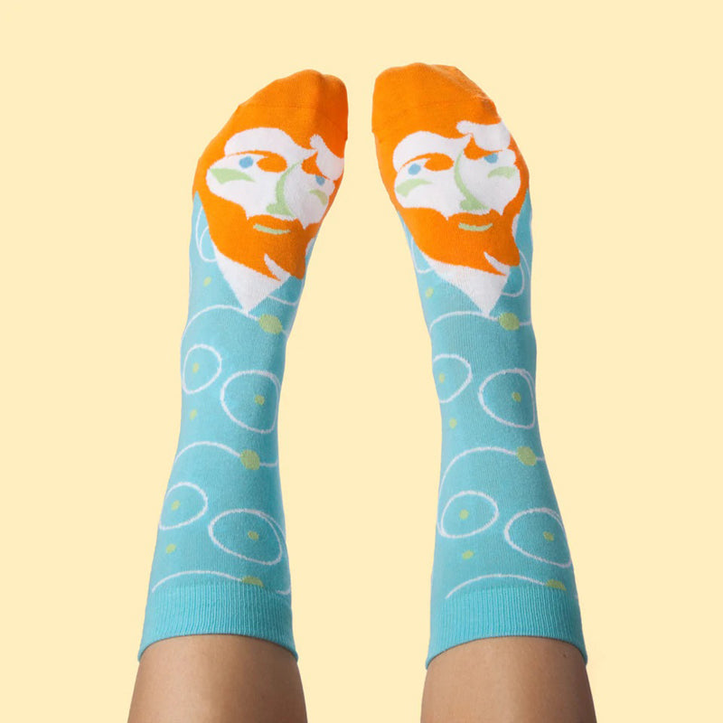 Artists Sock Collection (4 pairs)