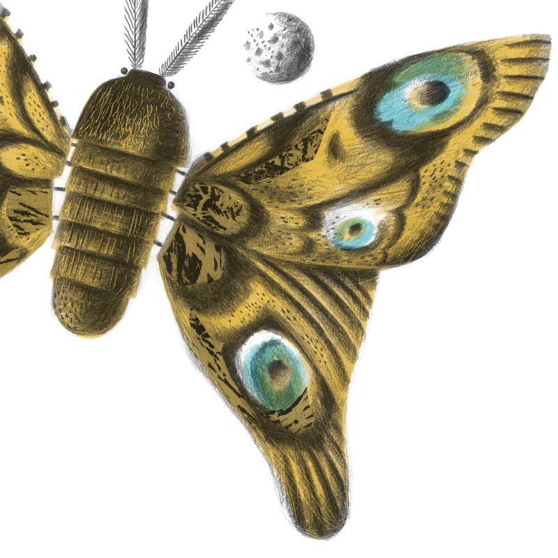 Hansel and Gretel: A Nightmare in Eight Scenes by Simon Armitage & Clive Hicks-Jenkins (standard cloth-bound edition)