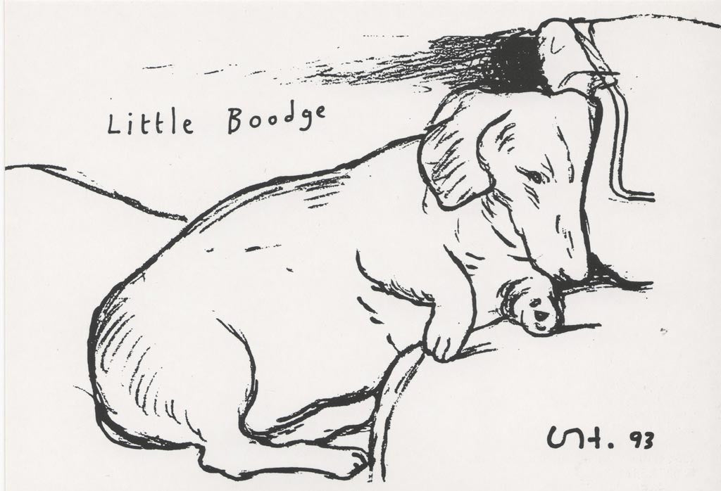 Little Boodge Mini Poster by David Hockney