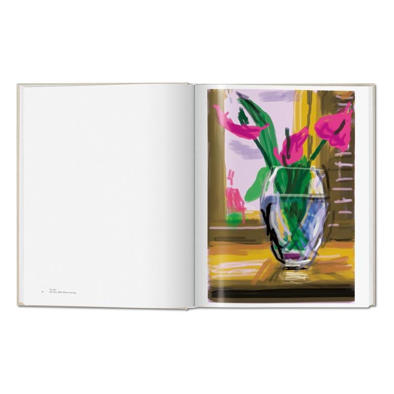 My Window - Collector's Edition: signed & numbered artist's book by David Hockney,edition of1000