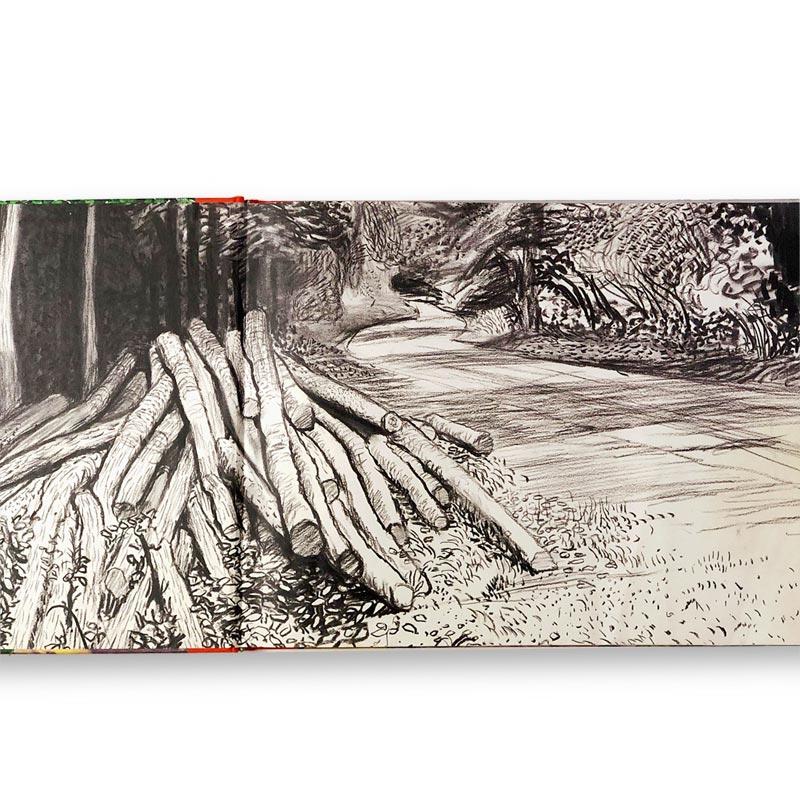 My Yorkshire by David Hockney (standard 1st edition)