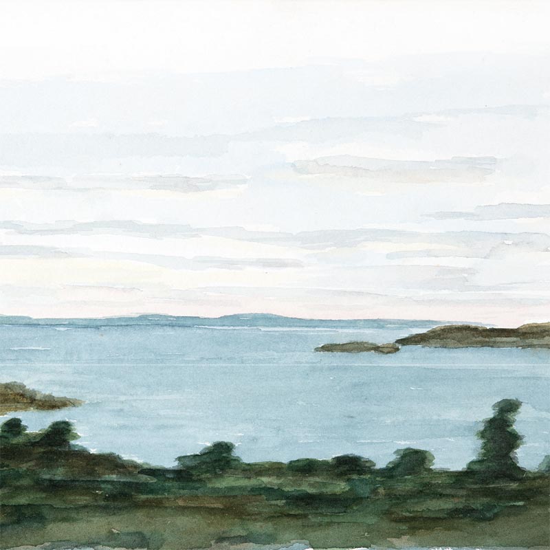 Paul Hockney Greetings Card Collection: Sandgreen, Flowers & Flamborough (6 cards)