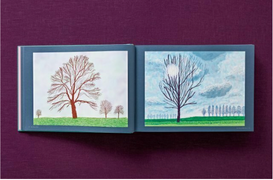 David Hockney 220 for 2020: edition of 1620 books, numbered and stamped